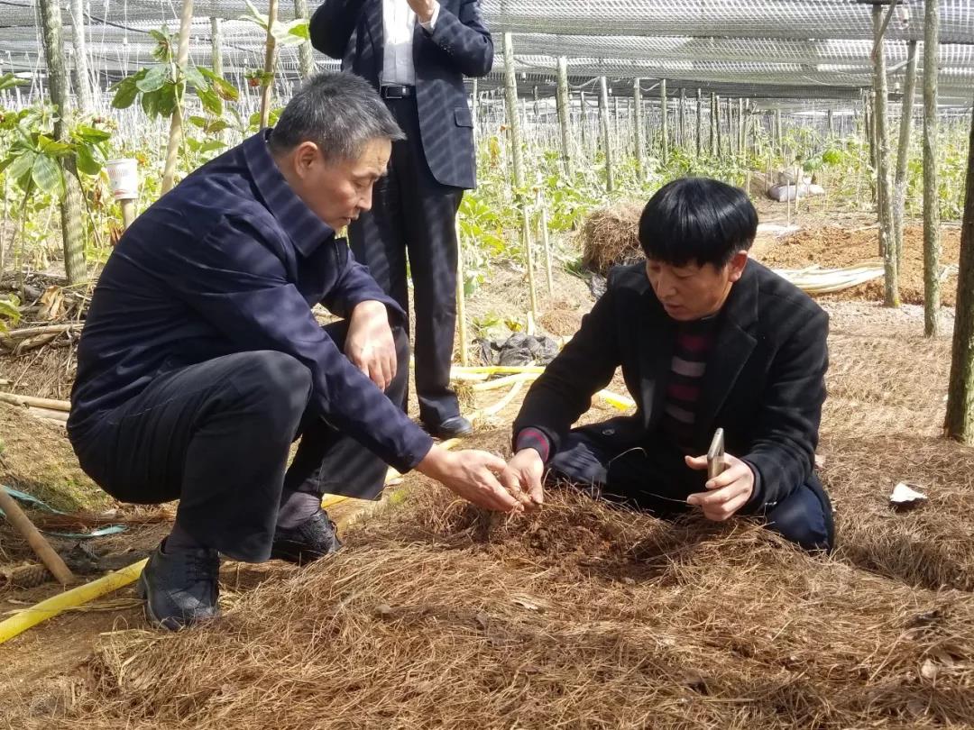 尊龙凯时·(中国集团)人生就是搏!