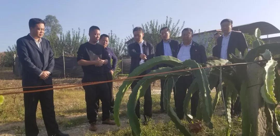 尊龙凯时·(中国集团)人生就是搏!