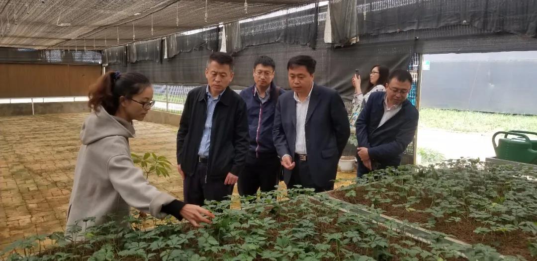 尊龙凯时·(中国集团)人生就是搏!