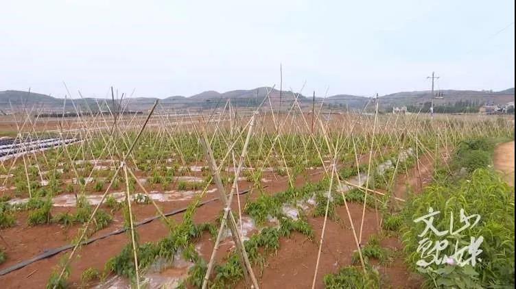 尊龙凯时·(中国集团)人生就是搏!